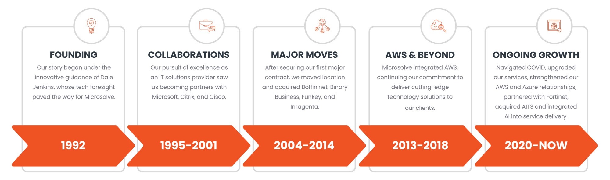 Microsolve - History Infographic