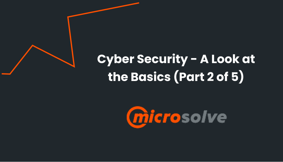 Cyber Security Basics with Microsolve