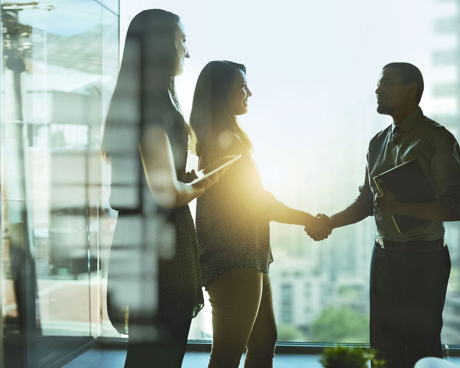 Microsolve Meet and Greet